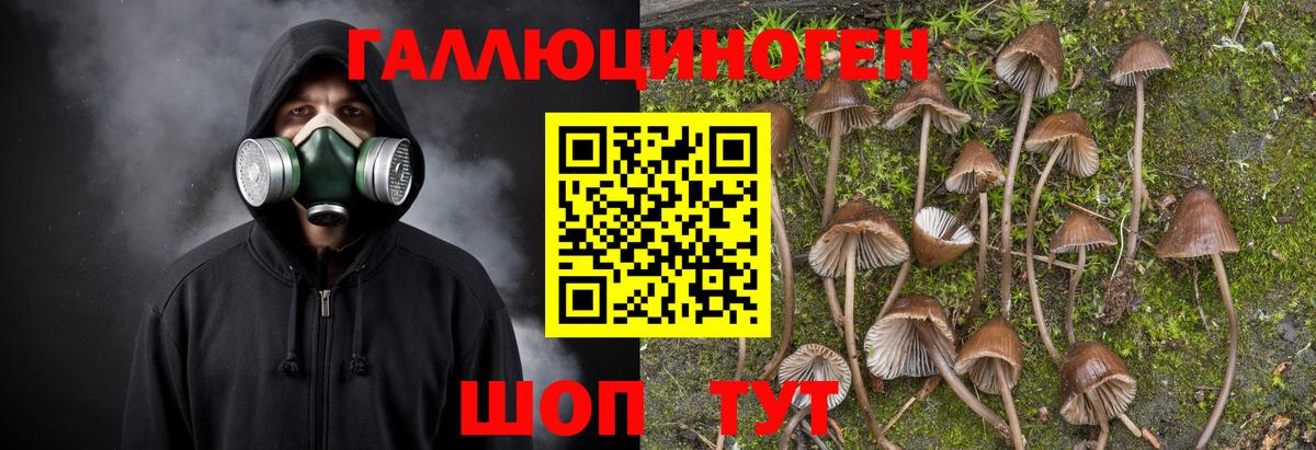 Псилоцибиновые грибы GOLDEN TEACHER  Вход с VPN  Майский 