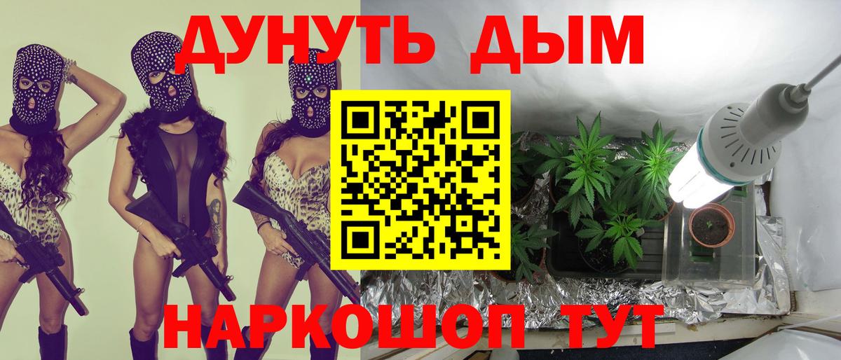 Конопля конопля Майский